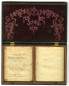 Double Sixth-Plate Thermoplastic Case