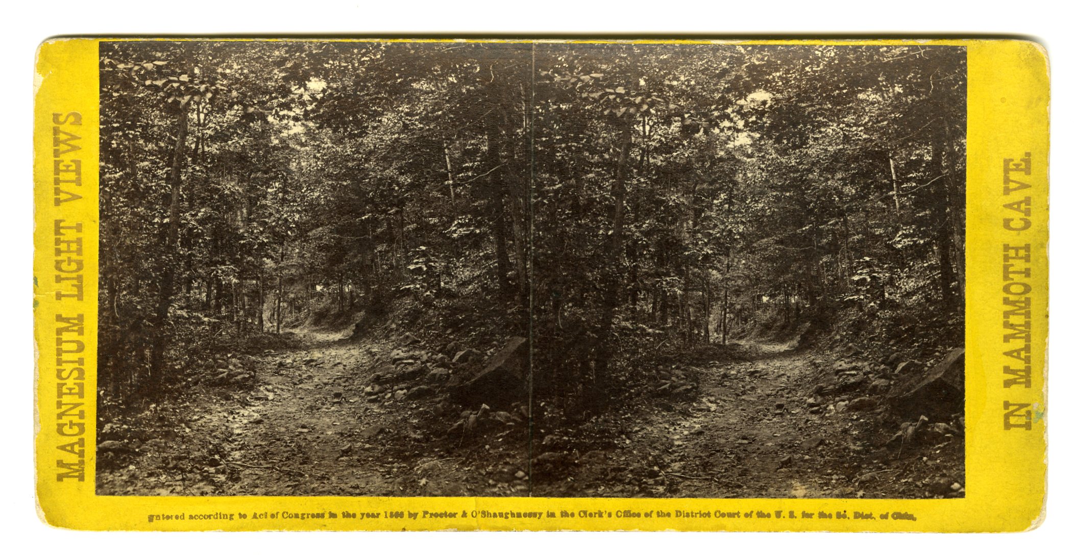 Mammoth Cave Kentucky Jeffrey Kraus Antique Photographics