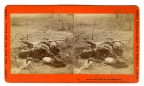 Confederate Dead on the Battlefield