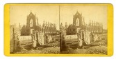 Ruins of St. Finbar's Cathedral Charleston
